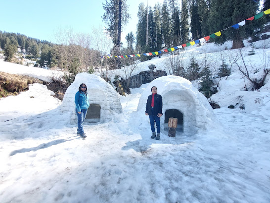  Igloo Stay Sethan Manali